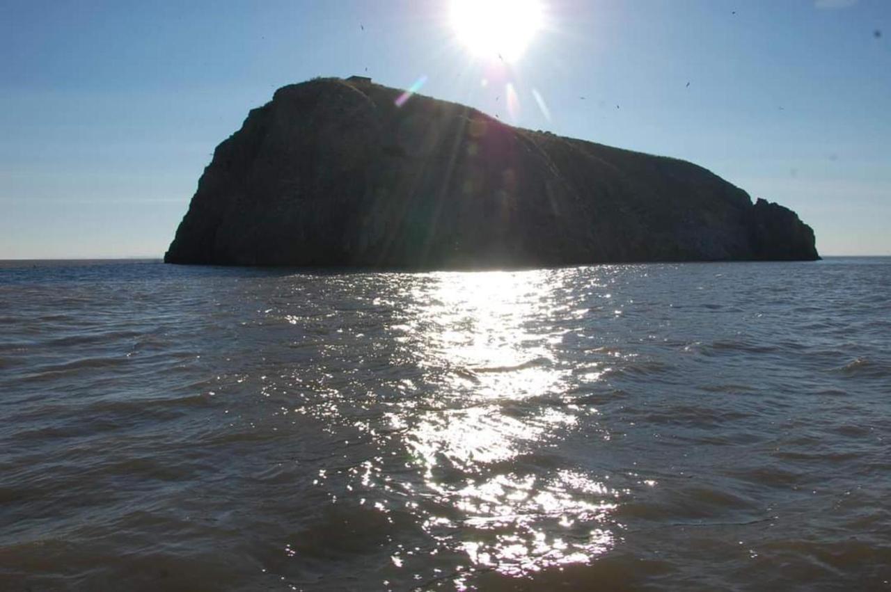 95 Holiday Resort Unity 3 Bed Passes Included Brean Buitenkant foto